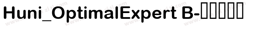 Huni_OptimalExpert B字体转换
